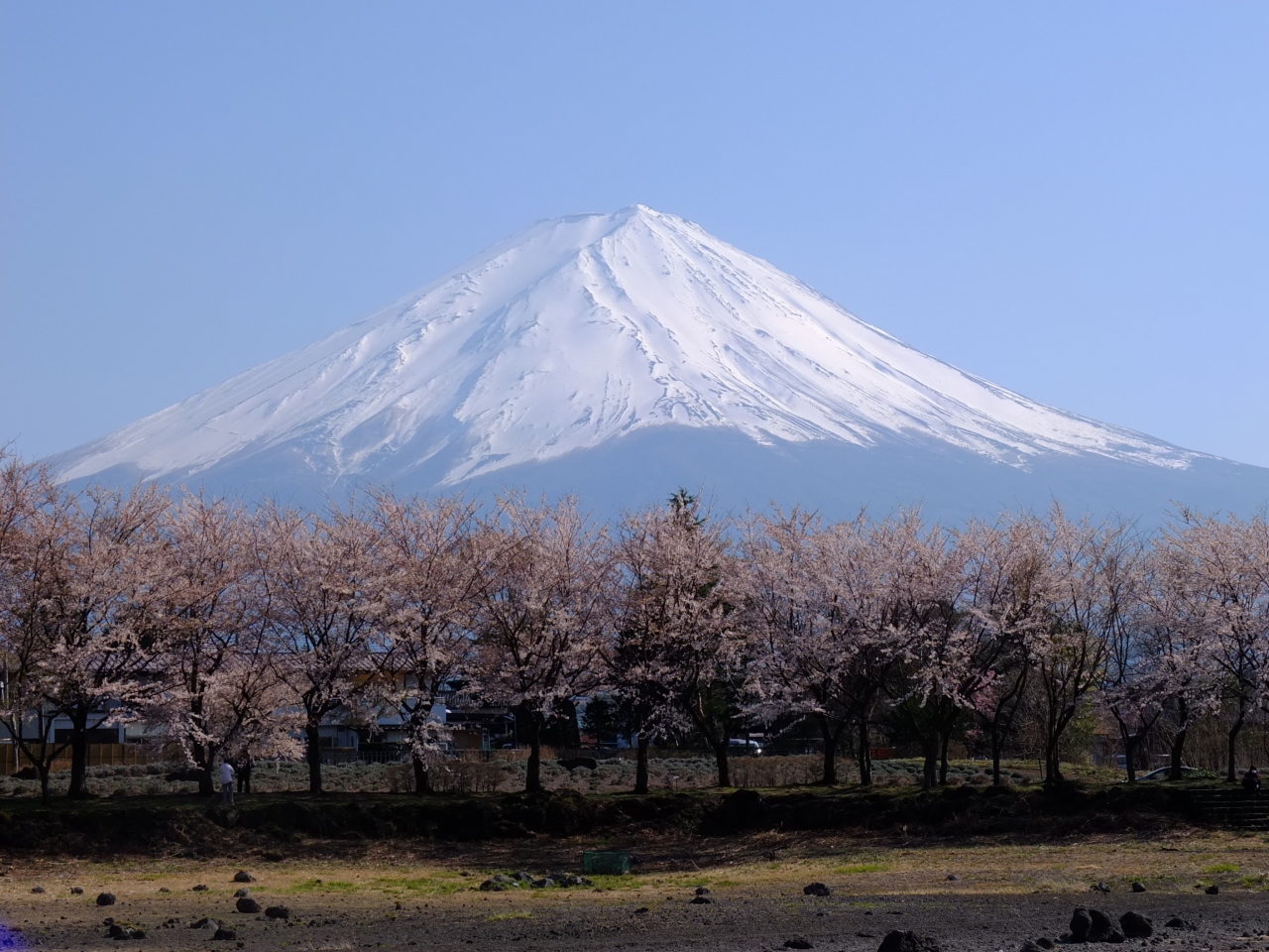 陸続きになった河口湖の六角堂 富士五湖 山梨県 の旅行記 ブログ By Latidoさん フォートラベル