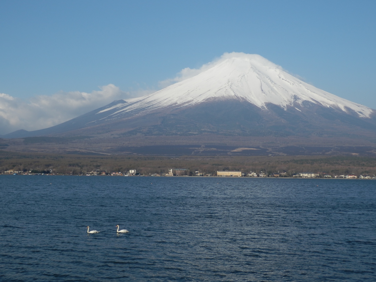 山中湖の白鳥と 白い積雪の富士山をもとめて 富士五湖 山梨県 の旅行記 ブログ By 風 魔さん フォートラベル
