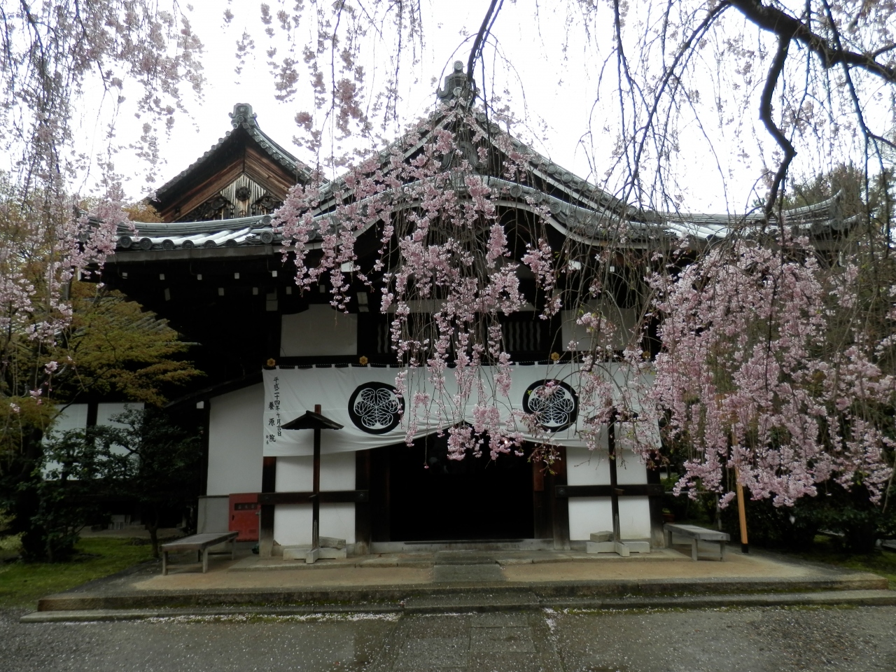 伏見城で家康天下取りの捨石となって切腹した鳥居元忠の血天井がある養源院