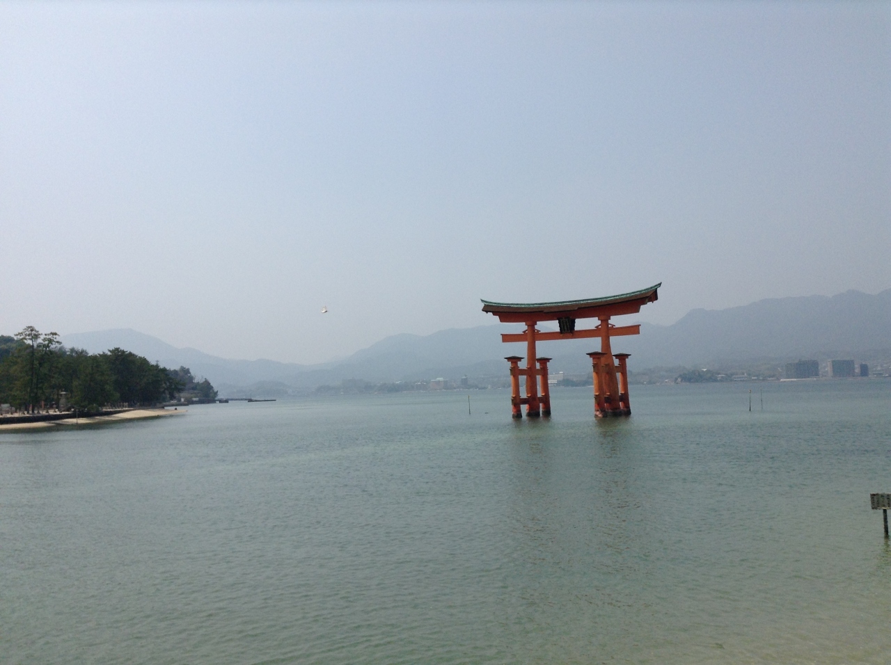 宮島へ 宮島 厳島神社 広島県 の旅行記 ブログ By 森のナースさん フォートラベル 宮島へ 宮島 厳島神社 広島県 の旅行記 ブログ By 森のナースさん フォートラベル