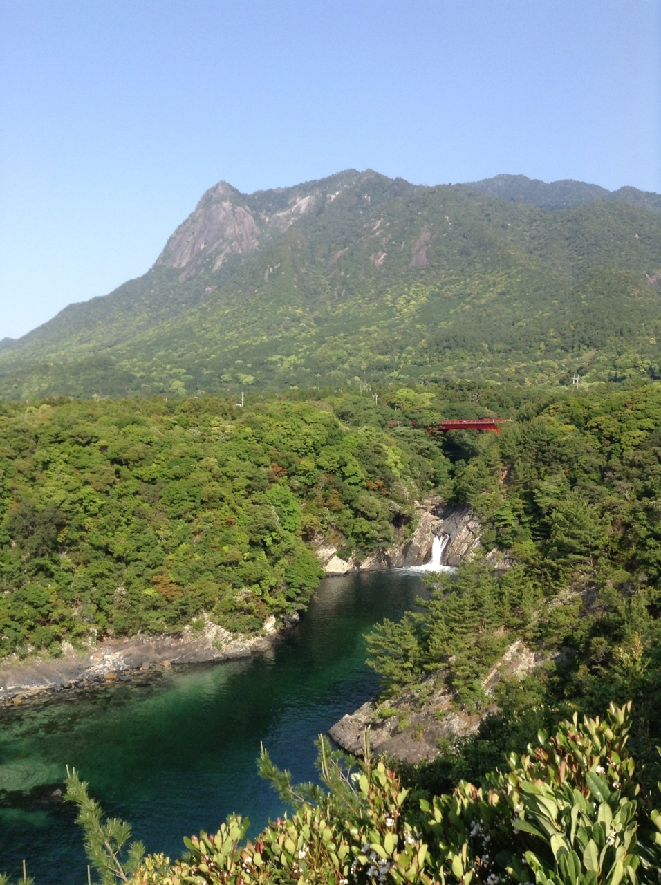屋久杉を見に行く 2人のツアー 屋久島 鹿児島県 の旅行記 ブログ By せいじさん フォートラベル 屋久杉を見に行く 2人のツアー 屋久島 鹿児島県 の旅行記 ブログ By せいじさん フォートラベル