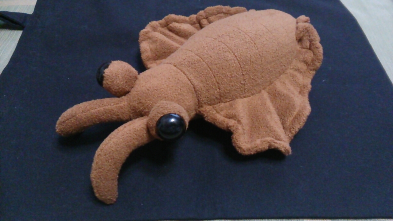 ちょっとお出掛け 思い付き第七弾 タコの干物と生命の海科学館 蒲郡 愛知県 の旅行記 ブログ By Cobraさん フォートラベル