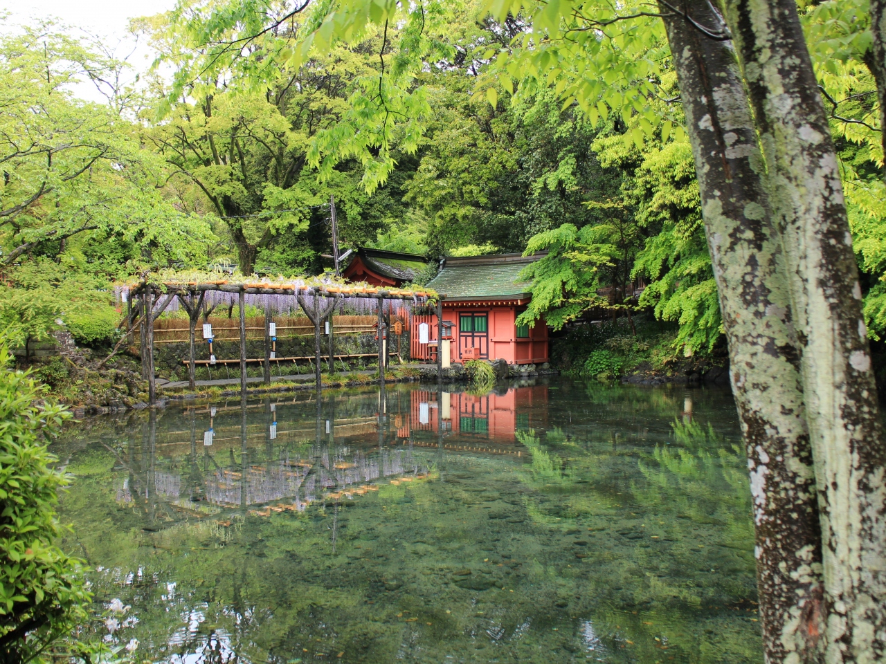 静岡へ 富士の山影追い求め 静岡市 葵区 駿河区 静岡県 の旅行記 ブログ By 倫清堂さん フォートラベル