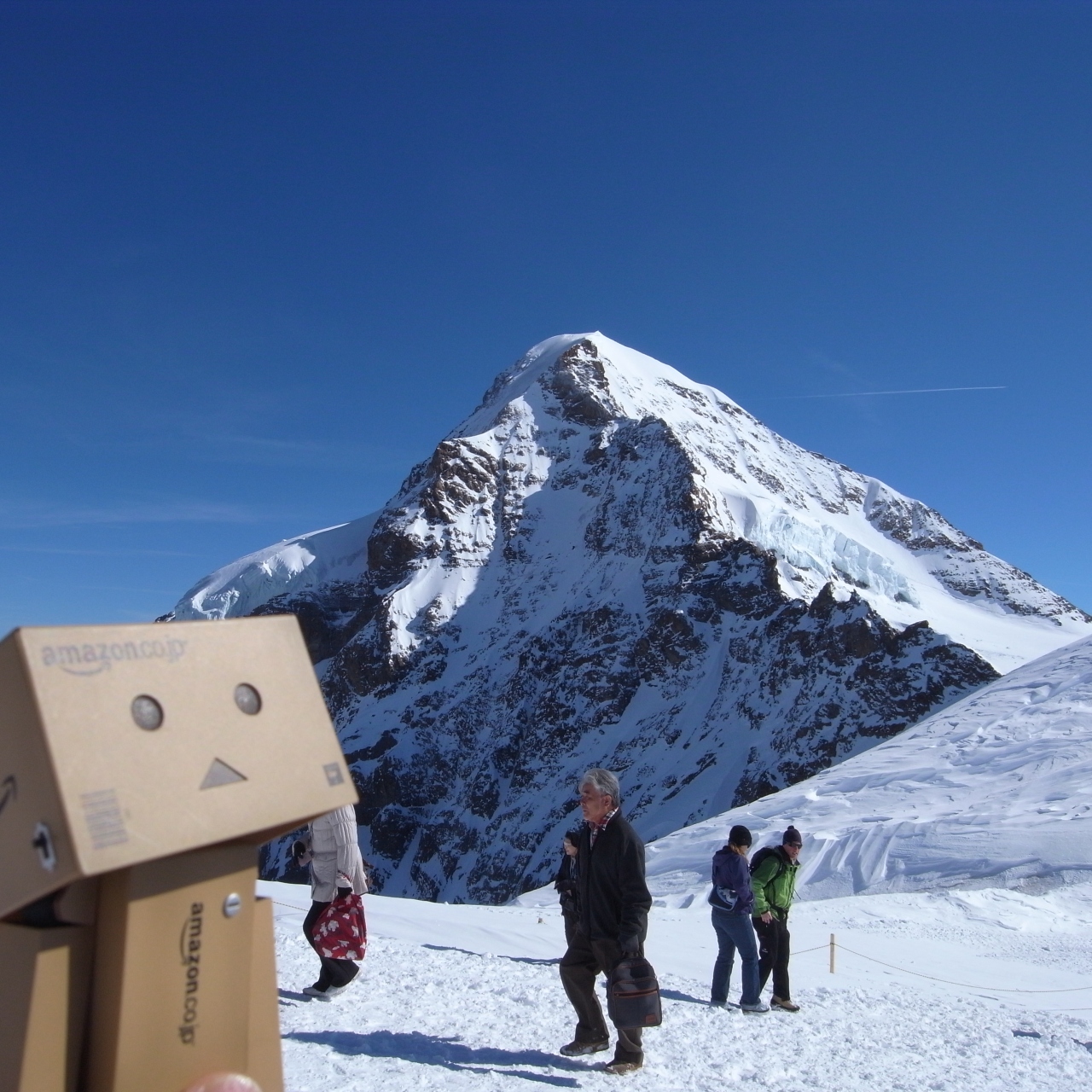 ダンボー君と行くヨーロッパ その2 スイス篇 ユングフラウ周辺 スイス の旅行記 ブログ By Woodstockさん フォートラベル