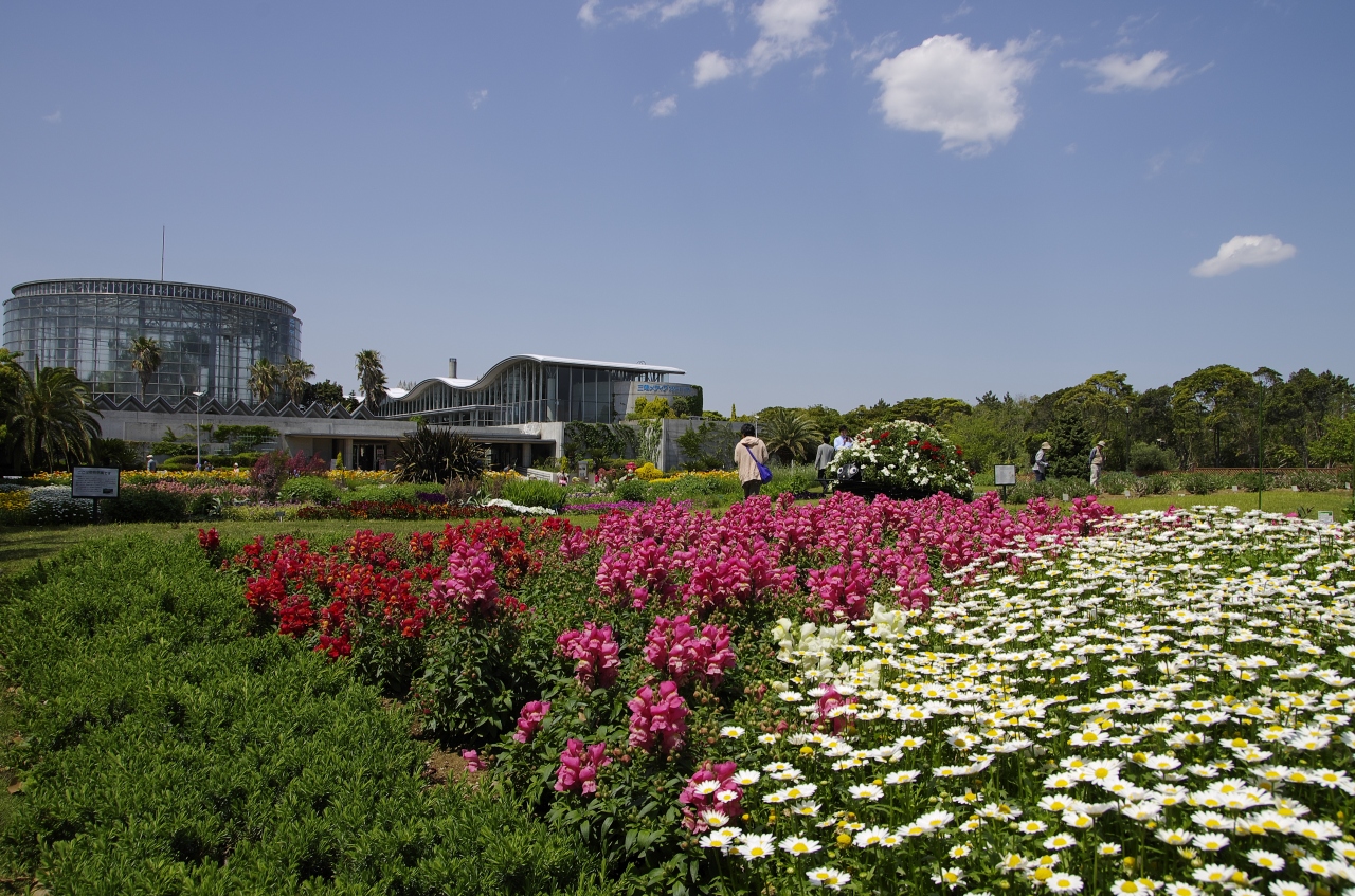 千葉市 三陽メディアフラワーミュージアム 千葉県の旅行記 ブログ By じゅうべいさん フォートラベル