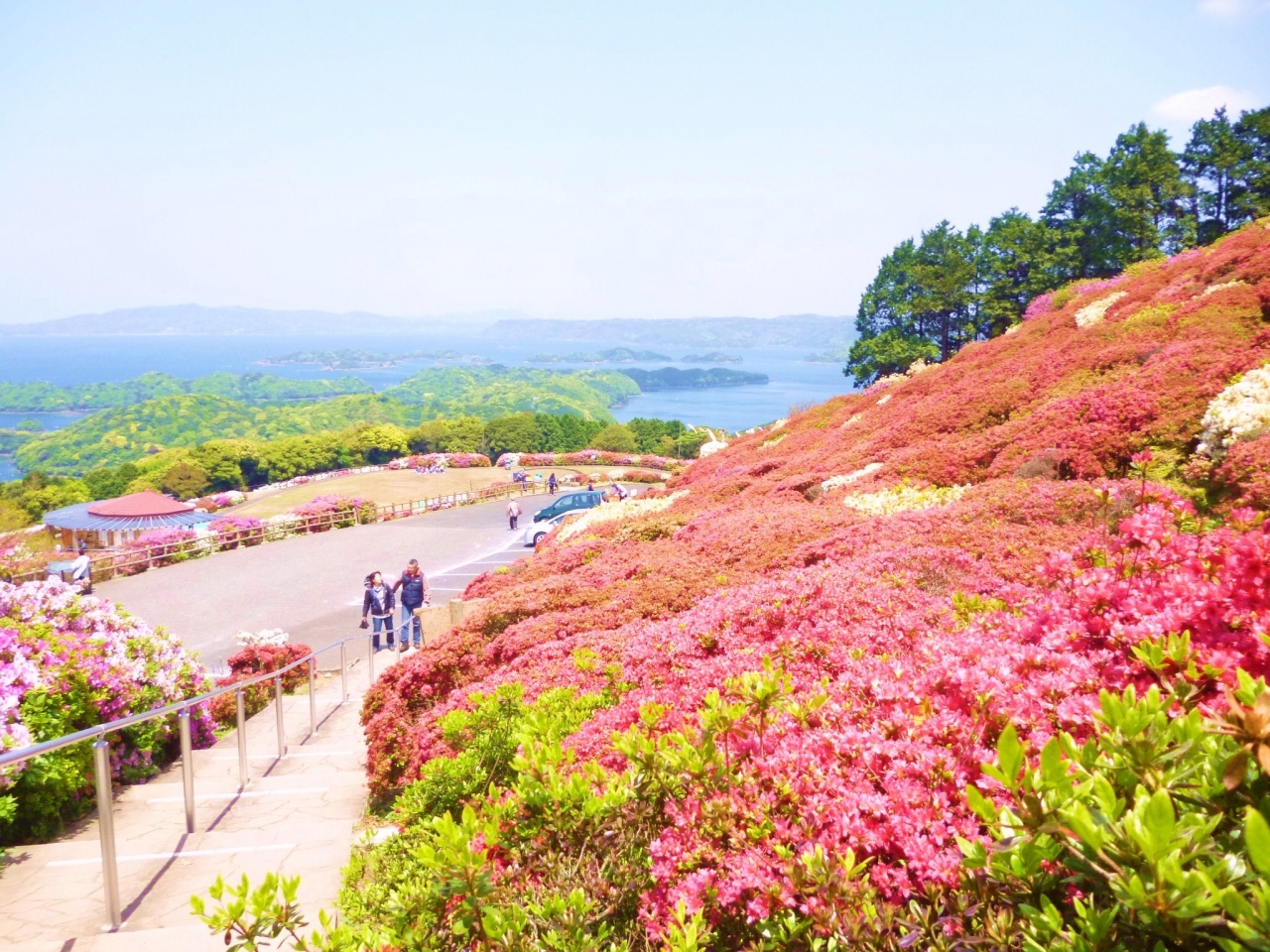 ２０１３年 西海国立公園のツツジ祭りと藤まつり 九十九島 田平周辺 長崎県 の旅行記 ブログ By Saikai99さん フォートラベル