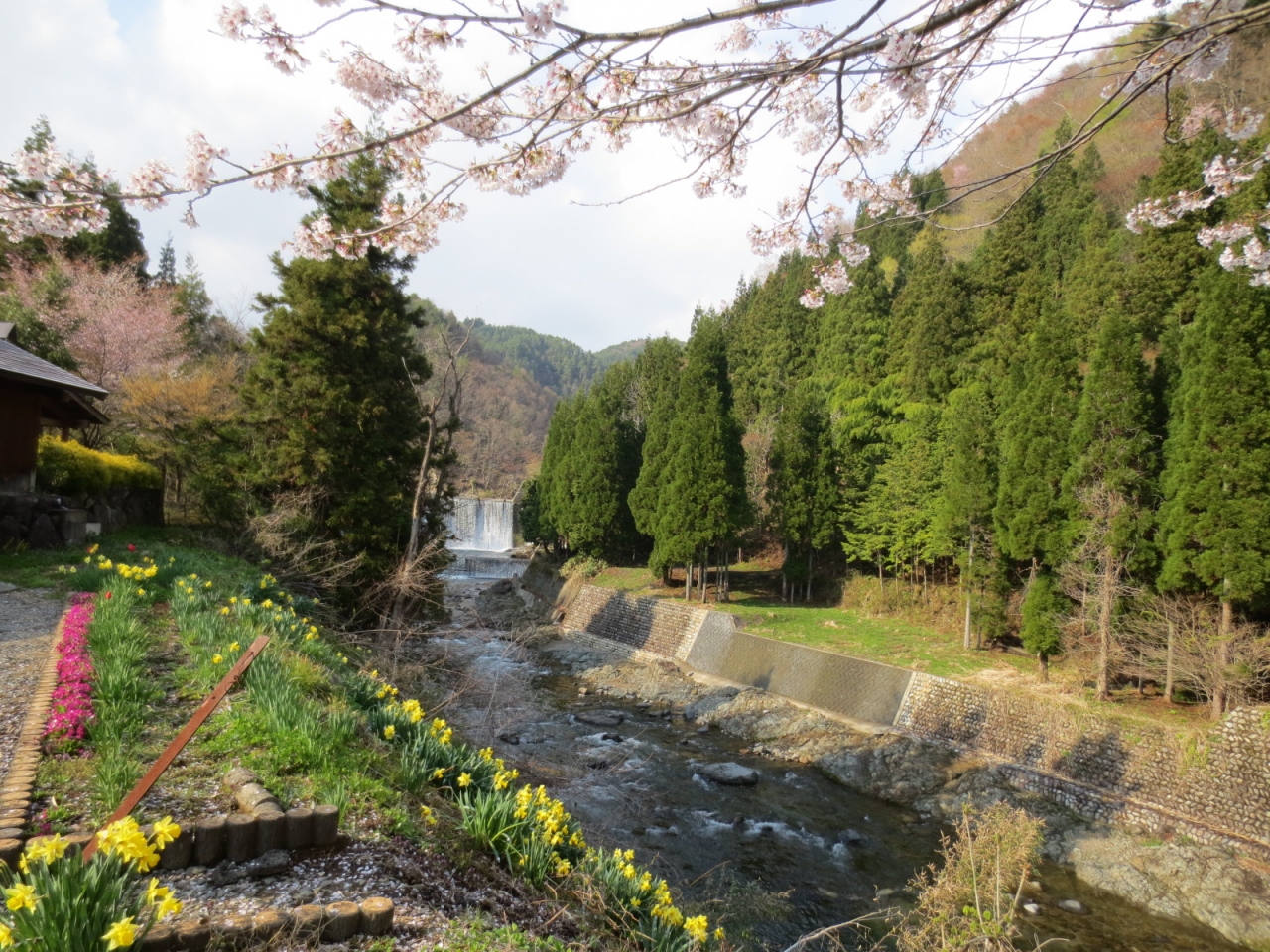 春キャンプ ひるがの高原 ひるがの高原 鷲ヶ岳 岐阜県 の旅行記 ブログ By まさもえさん フォートラベル