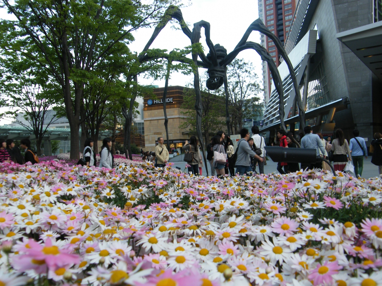 六本木ヒルズ ウォーキング スカイビュー 六本木 東京 の旅行記 ブログ By Bula さん フォートラベル