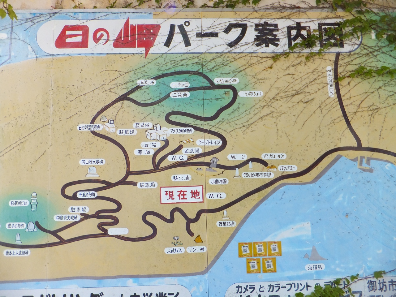 滋賀 京都 三重から紀伊半島周遊の旅 ６日目 和歌山県の旅行記 ブログ By Asuwaさん フォートラベル