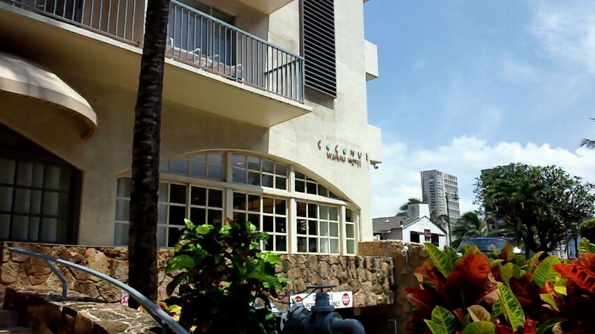 2013年やっとホノルルへ社員旅行 ココナッツホテル オアフ島 ハワイ の旅行記 ブログ By The241sbさん フォートラベル