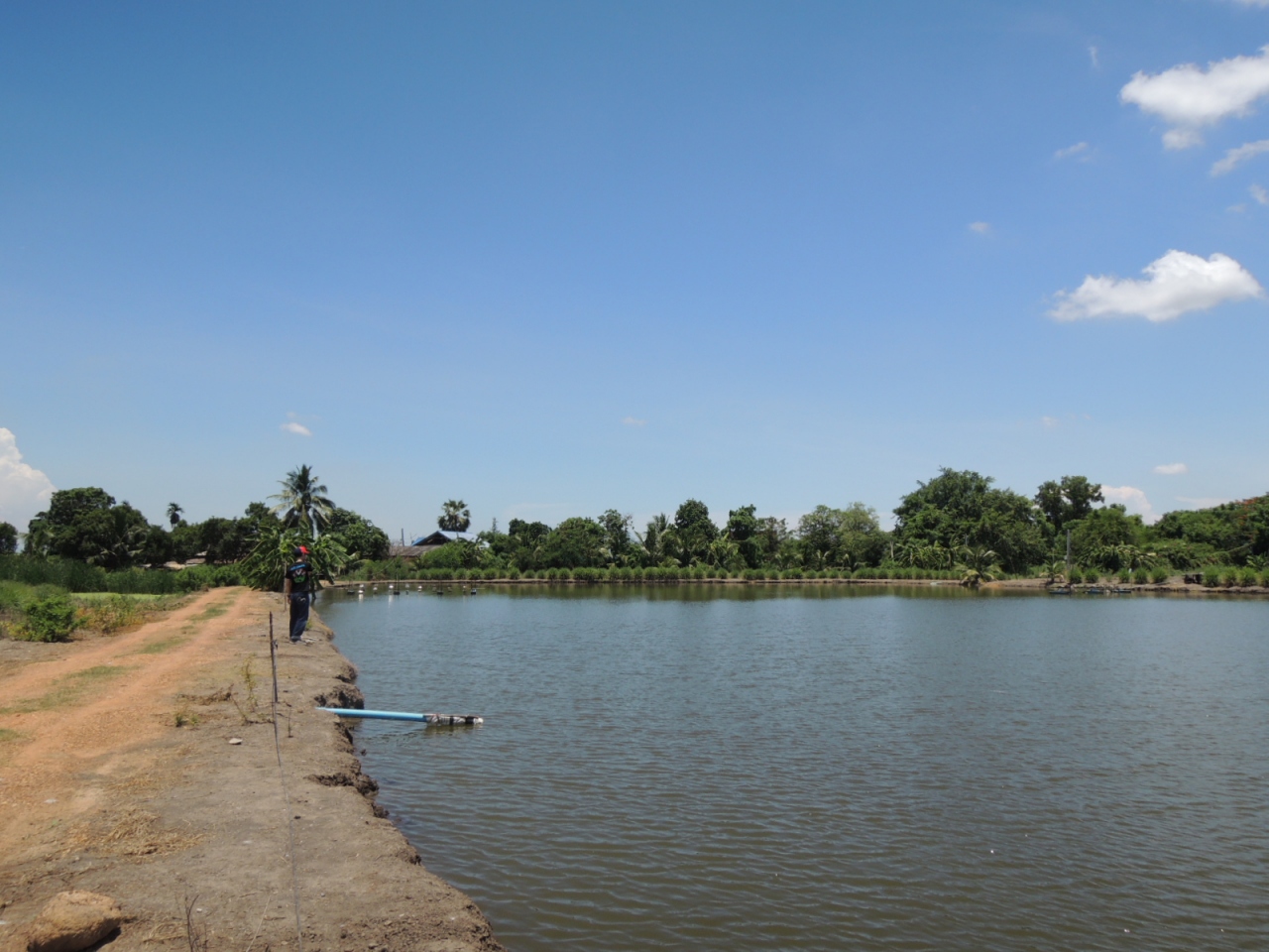 バンコクのんびり ルアーフィッシュング バンコク タイ の旅行記 ブログ By Dennyさん フォートラベル