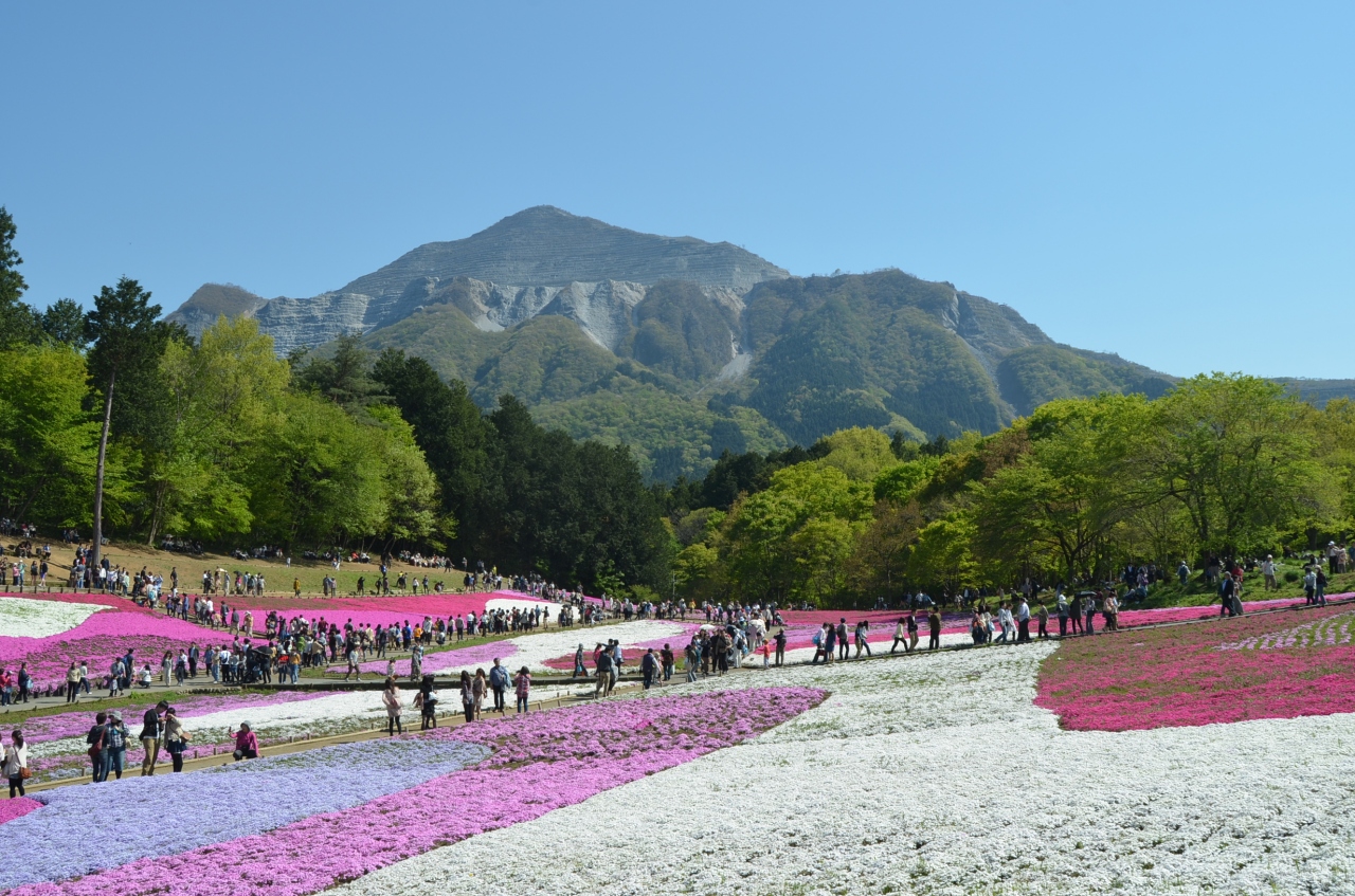 大人の山歩き 琴平ハイキングコース 羊山公園の芝桜 秩父 埼玉県 の旅行記 ブログ By Takeおじさん フォートラベル