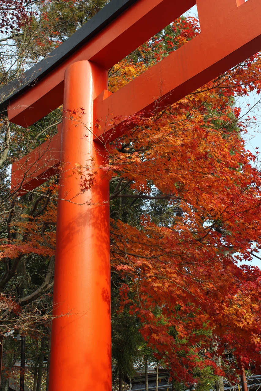 京都ぶらり旅 M 下鴨神社 お土産編 下鴨 宝ヶ池 平安神宮 京都 の旅行記 ブログ By Tomy Vさん フォートラベル