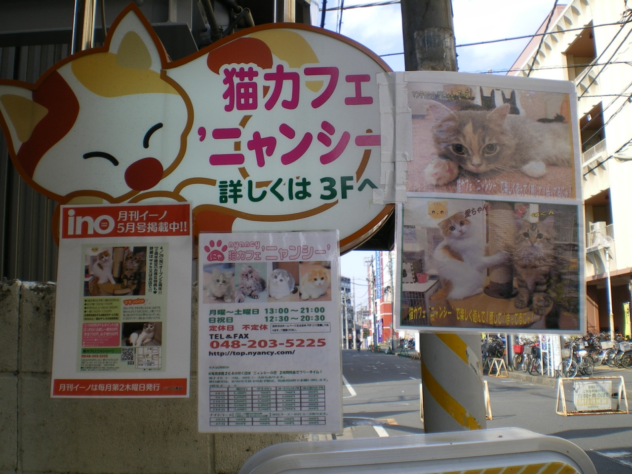 猫カフェ ニャンシー 新座 朝霞 和光 志木 埼玉県 の旅行記 ブログ By ミコタンさん フォートラベル 猫カフェ ニャンシー 新座 朝霞 和光 志木 埼玉県 の旅行記 ブログ By ミコタンさん フォートラベル