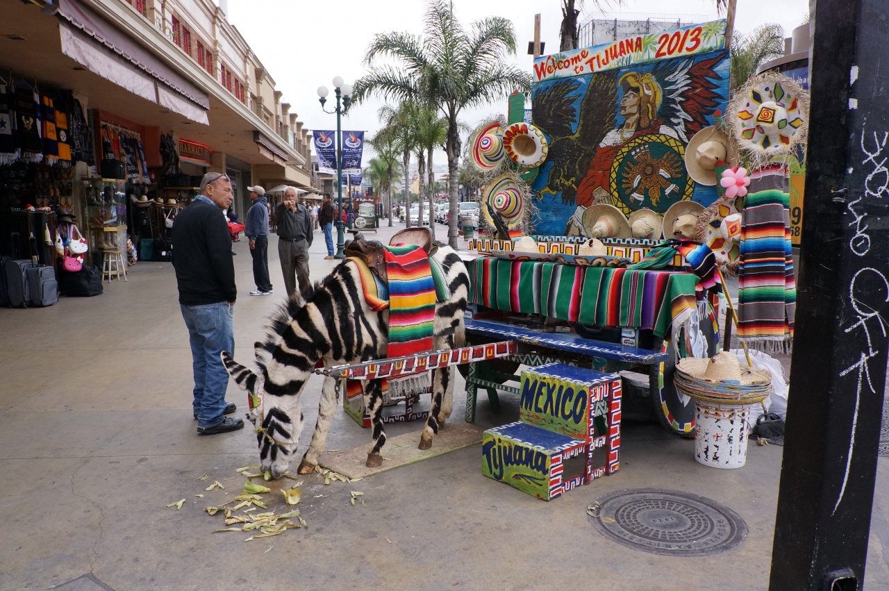 ボーダーで3時間 Tijuana 13 ティファナ メキシコ の旅行記 ブログ By Satさん フォートラベル