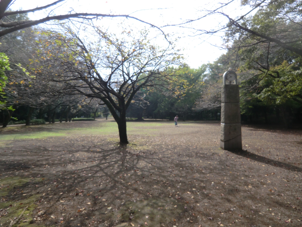 相模綾瀬 桓武平氏庶流渋谷氏居城 早川城跡訪問 海老名 座間 綾瀬 神奈川県 の旅行記 ブログ By 滝山氏照さん フォートラベル 相模綾瀬 桓武平氏庶流渋谷氏居城 早川城跡訪問 海老名 座間 綾瀬 神奈川県 の旅行記 ブログ By 滝山氏照さん フォートラベル