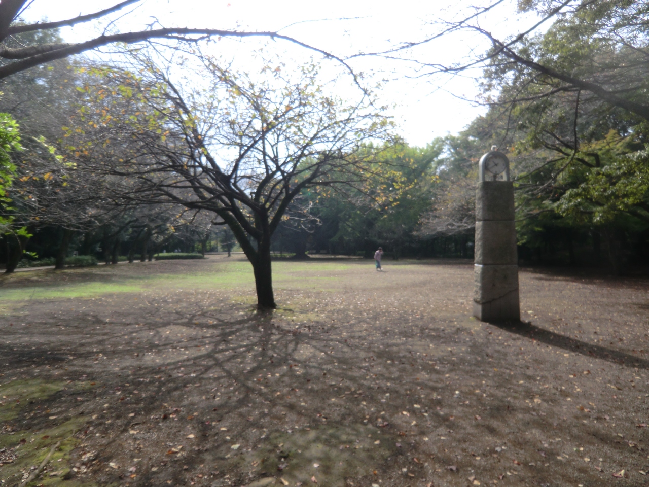 相模綾瀬 桓武平氏庶流渋谷氏居城 早川城跡訪問 海老名 座間 綾瀬 神奈川県 の旅行記 ブログ By 滝山氏照さん フォートラベル