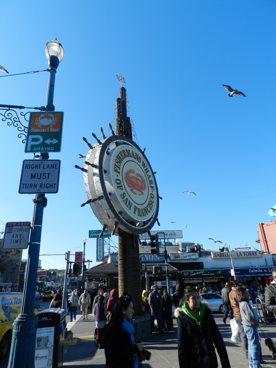 Pier 39 フィッシャーマンズワーフ をぶらぶら サンフランシスコ ヨセミテ サンタローザの旅 その13 サンフランシスコ アメリカ の旅行記 ブログ By Joecoolさん フォートラベル Pier 39 フィッシャーマンズワーフ をぶらぶら サンフランシスコ ヨセミテ サンタローザの旅 その13 サンフランシスコ アメリカ の旅行記 ブログ By Joecoolさん フォートラベル