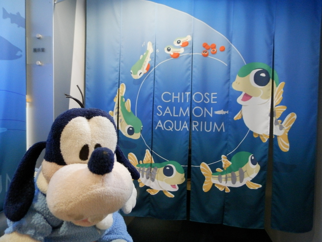 グーちゃん 千歳へ行く 千歳サケのふるさと館編 千歳 新千歳空港 北海道 の旅行記 ブログ By グーちゃんさん フォートラベル