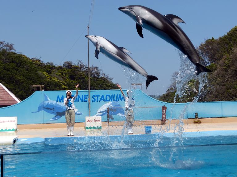 下田 海中 水族館