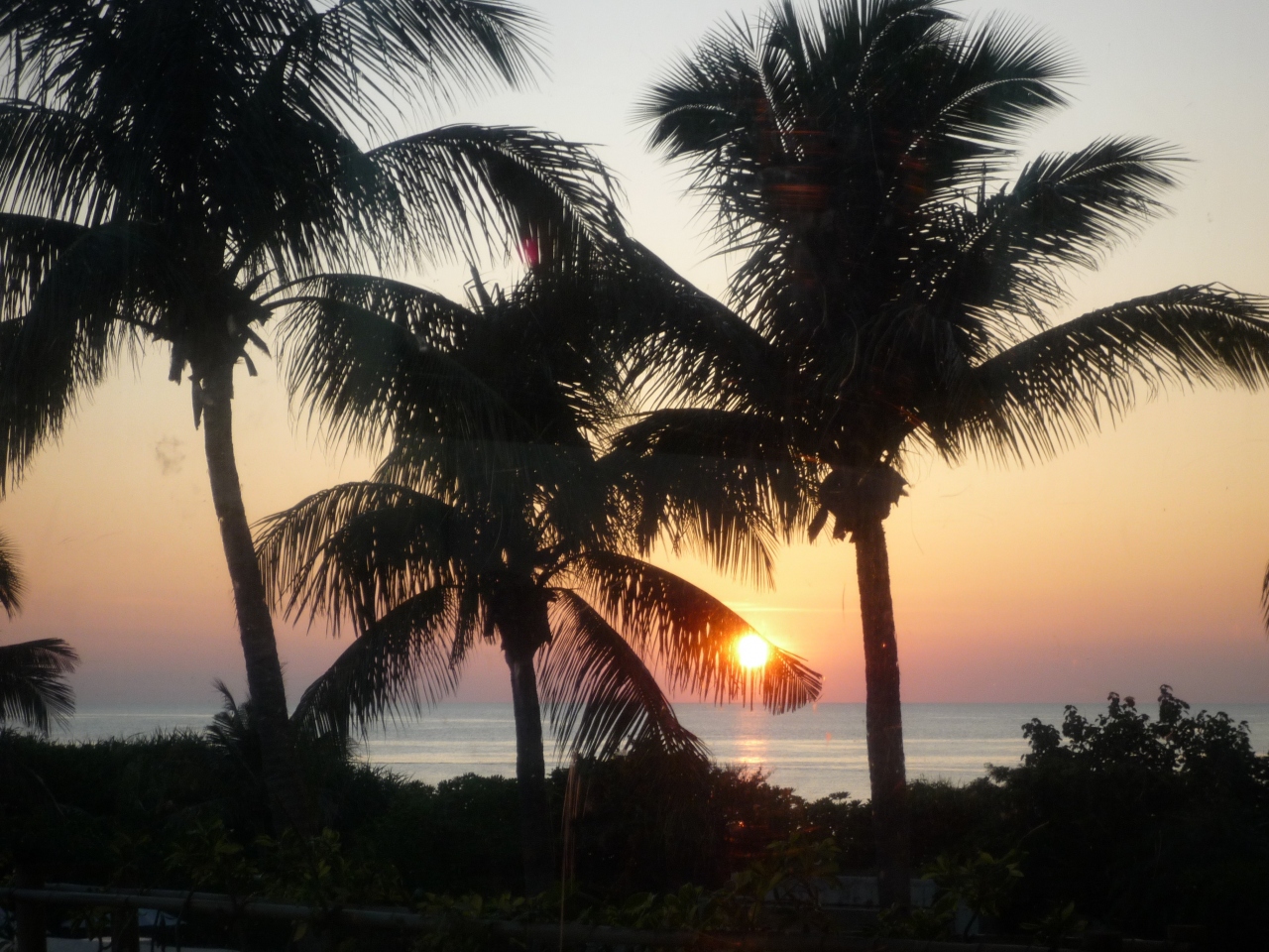 沖縄 山本綾香さんで食事するための旅 沖縄県の旅行記 ブログ By たくぞーさん フォートラベル