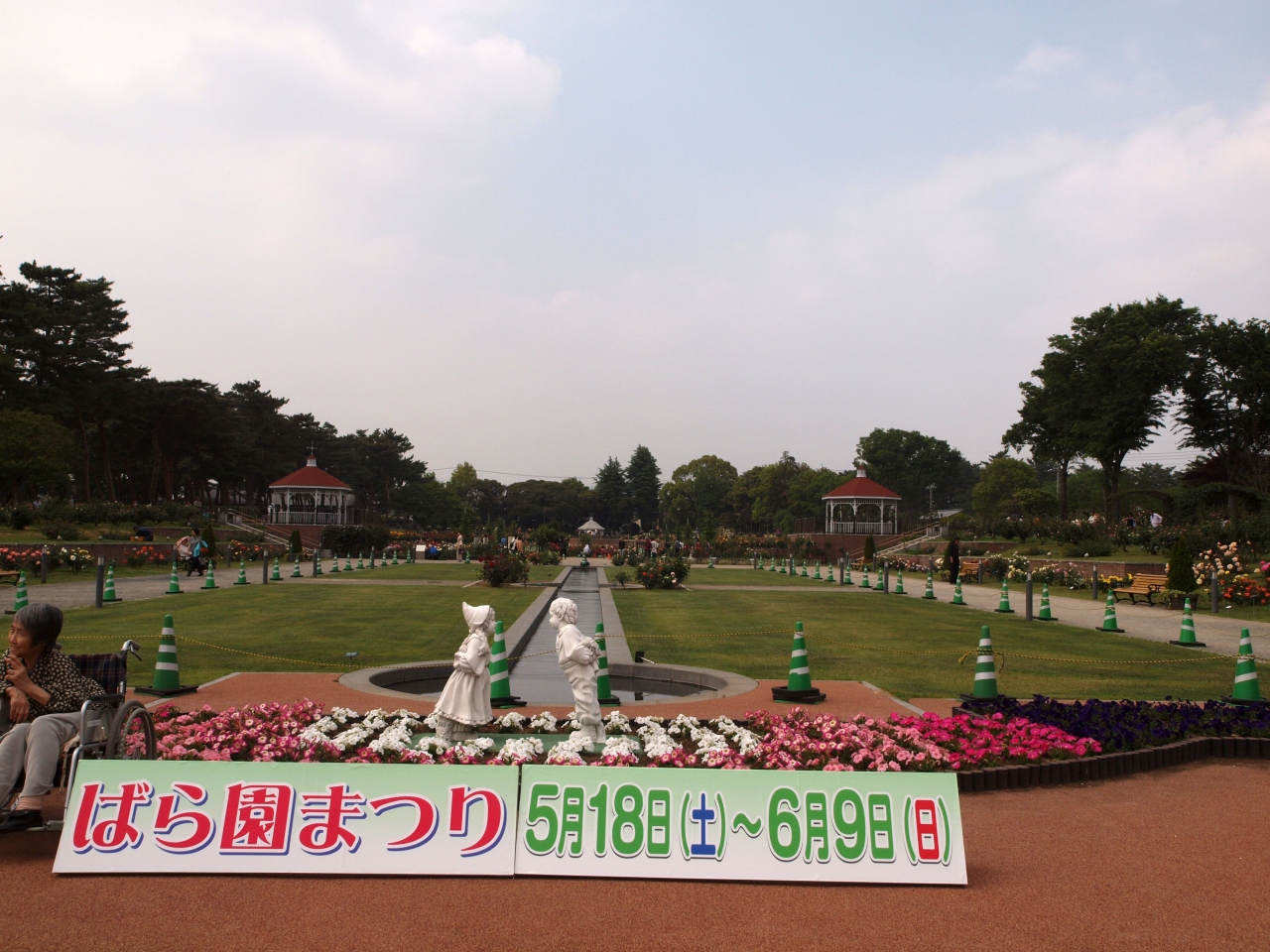 前橋市 敷島公園 バラ園祭りが始まりますー１ 前橋 群馬県 の旅行記 ブログ By 義臣さん フォートラベル