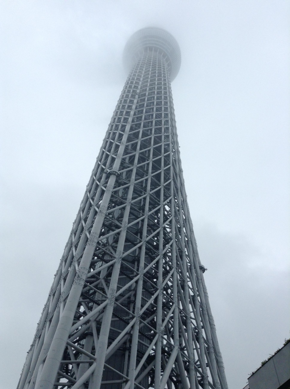 初めてのスカイツリーは残念な天気 浅草 東京 の旅行記 ブログ By Nlsさん フォートラベル