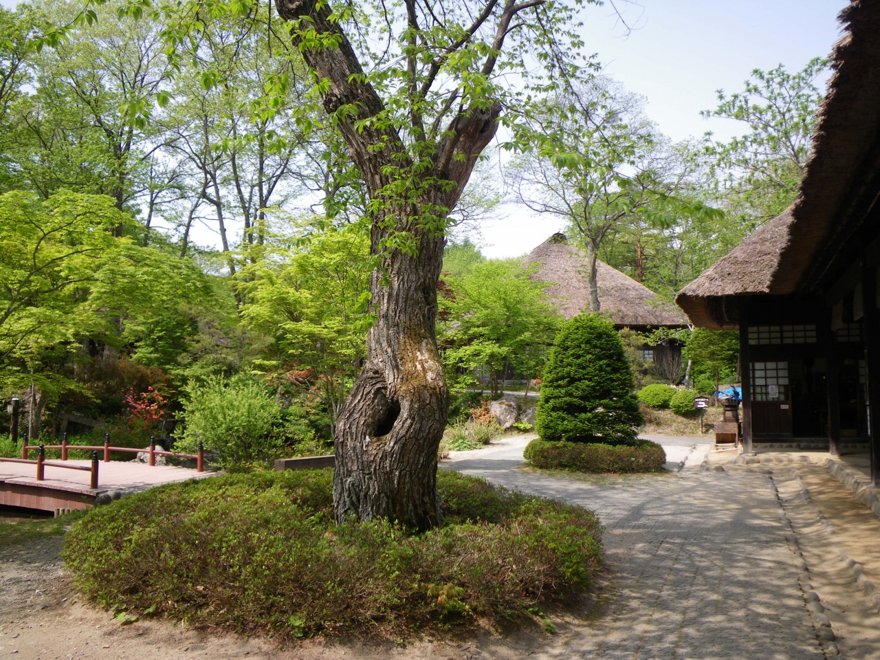 平家の隠れ里 湯西川温泉 湯西川温泉 栃木県 の旅行記 ブログ By おばよしさん フォートラベル