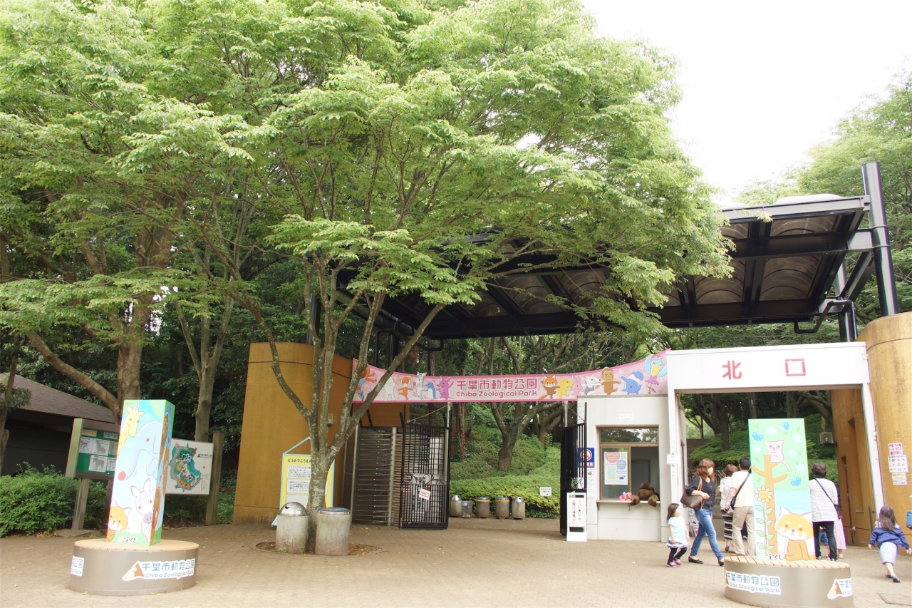 千葉 市 動物 公園 千葉市動物公園 アクセス 営業時間 料金情報