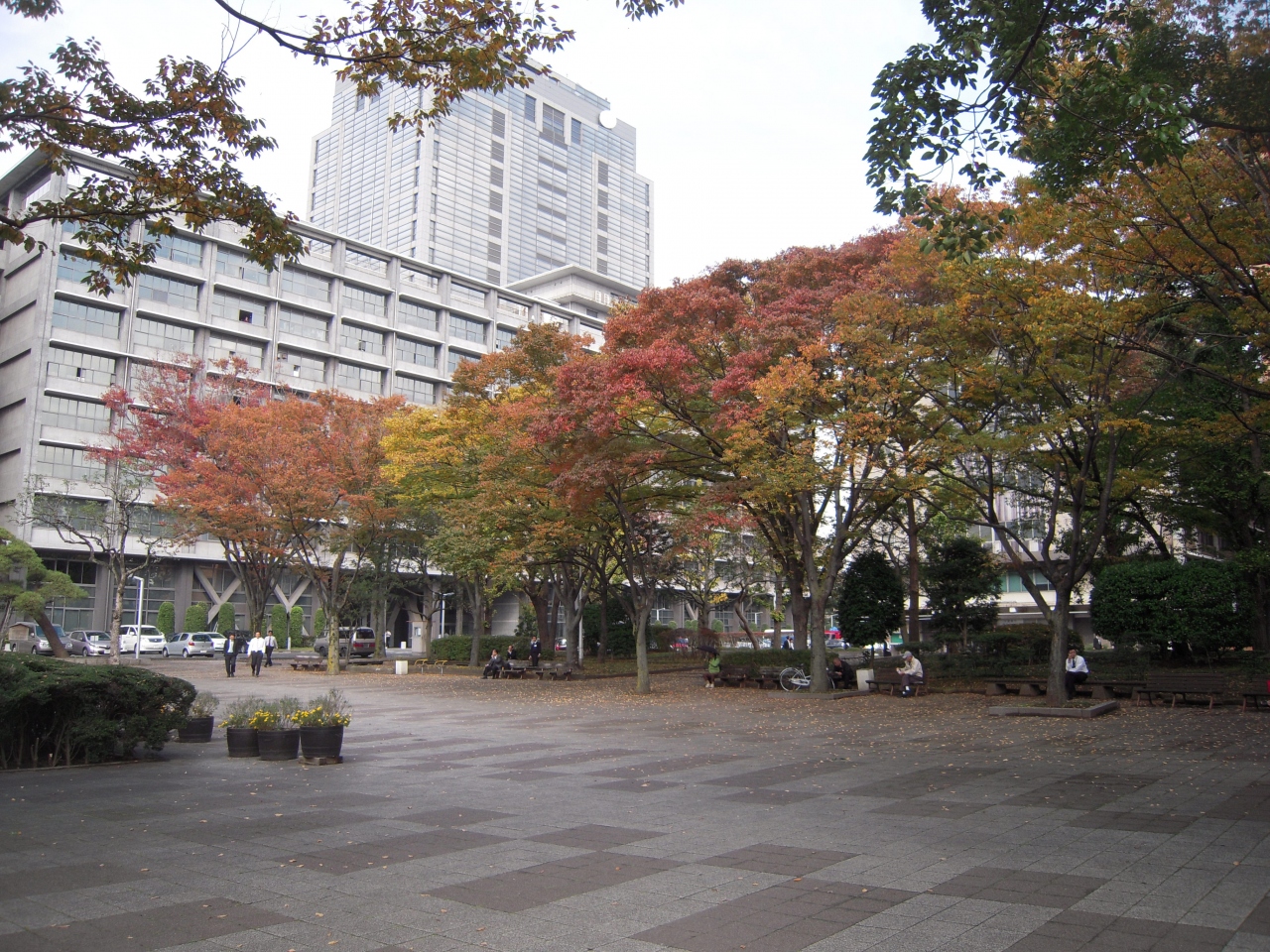 下総千葉羽衣公園散歩 千葉市 千葉県 の旅行記 ブログ By 滝山氏照さん フォートラベル