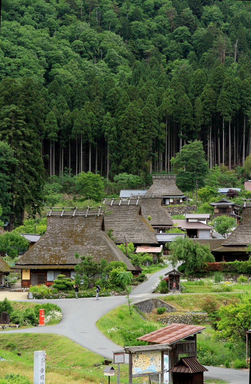 京都府美山町かやぶきの里 北村から自然文化村のバラ園へ 帰途 亀岡市の西国三十三ヶ所第二十一番札所である穴太寺に参拝しました 南丹 京都 の旅行記 ブログ By きよさん フォートラベル 京都府美山町かやぶきの里 北村から自然文化村のバラ園へ 帰途 亀岡市の西国三十三ヶ所第二十一番札所である穴太寺に参拝しました 南丹 京都 の旅行記 ブログ By きよさん フォートラベル