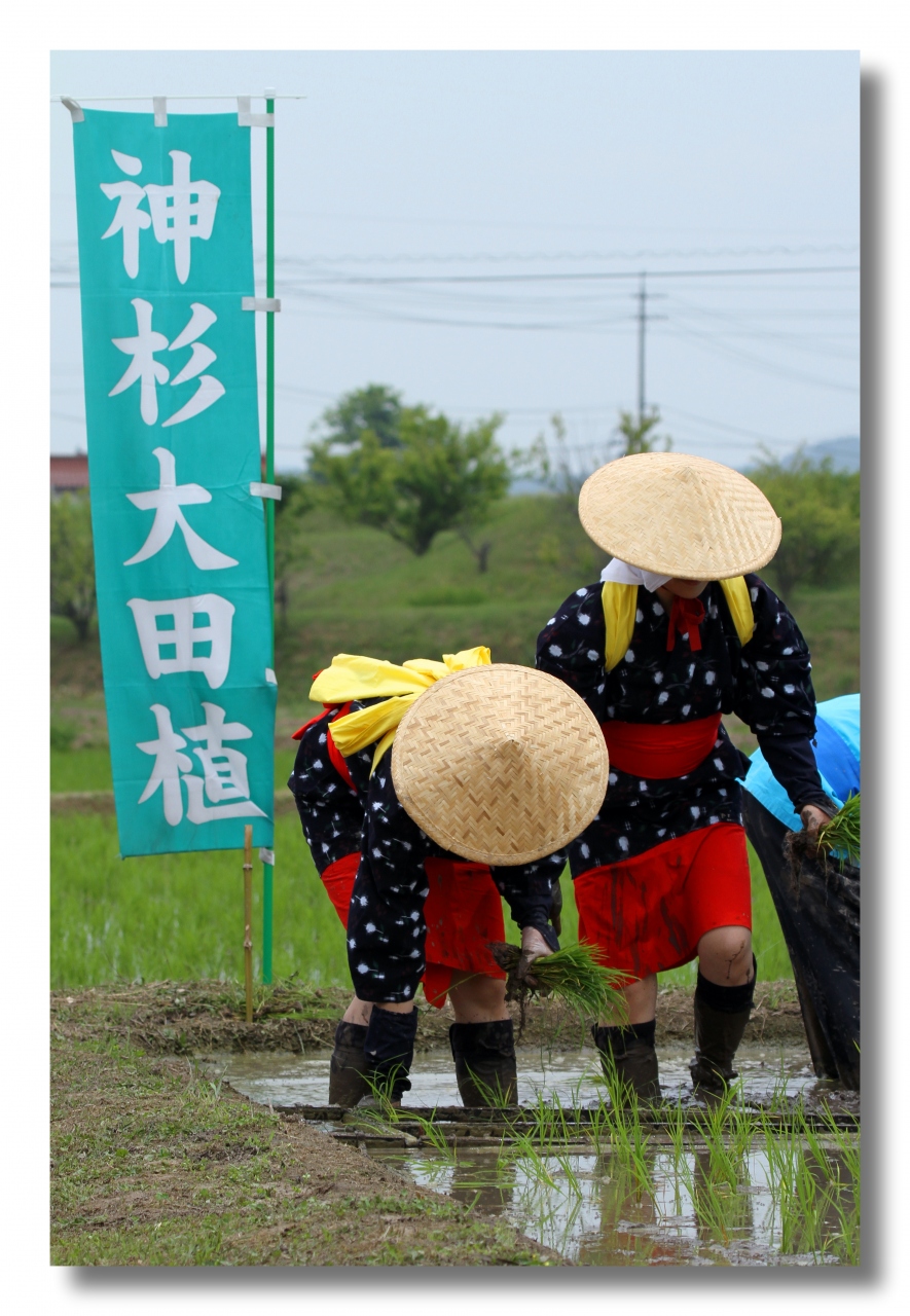 Solitary Journey 1213 テンポのいい田植え歌 大勢の早乙女さんがリズムよく苗を植えていきました 神杉大田植え 広島県三次市 三次 広島県 の旅行記 ブログ By Mechagodzilla 703さん フォートラベル Solitary Journey 1213 テンポのいい田植え歌 大勢の早乙女さんがリズムよく苗を植えていきました 神杉大田植え 広島県三次市 三次 広島県 の旅行記 ブログ By Mechagodzilla 703さん フォートラベル