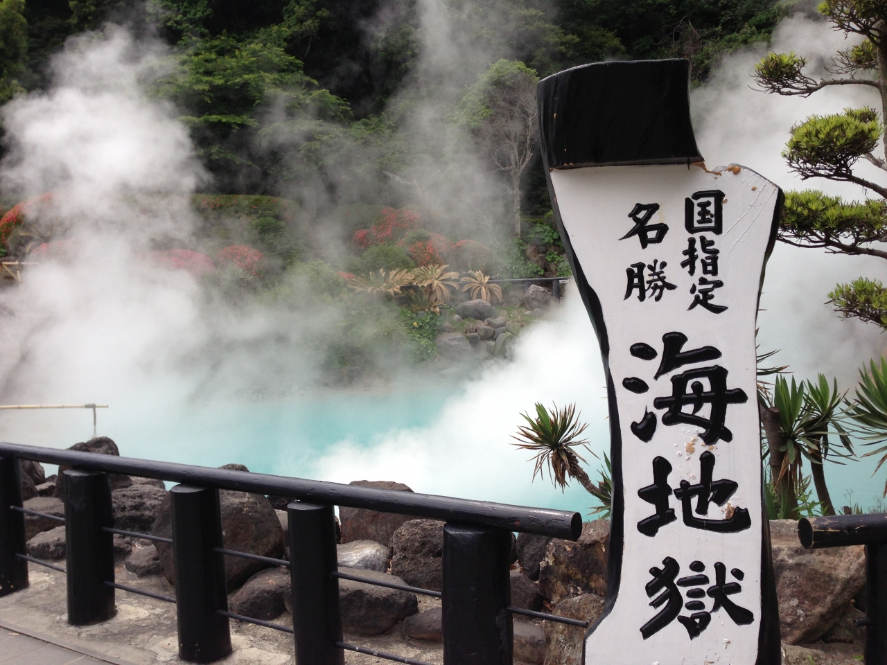 名古屋からｌｃｃで別府日帰り旅 別府温泉 大分県 の旅行記 ブログ By シンタさん フォートラベル