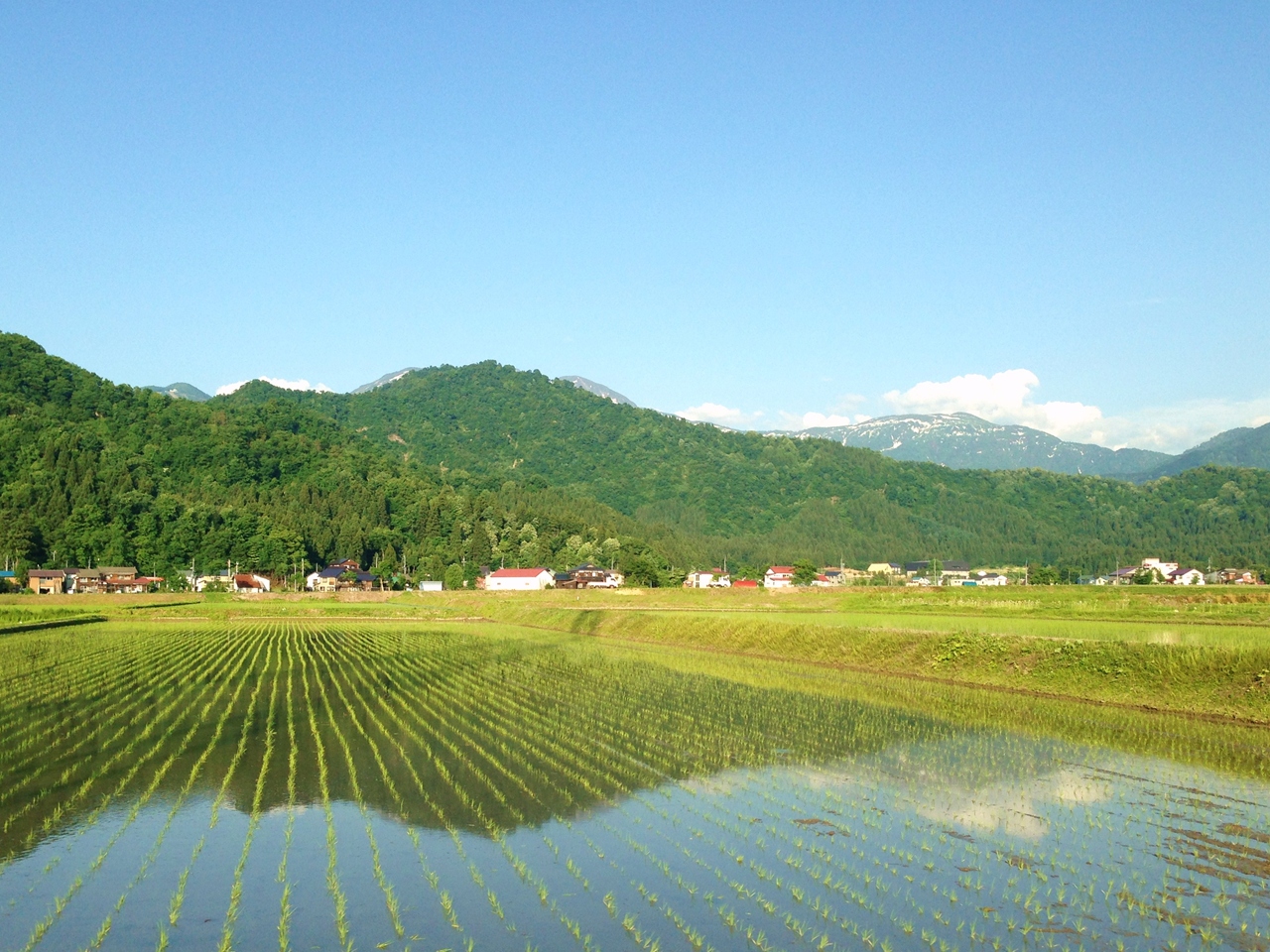 新潟 ココロ踊る 新緑の清津峡 出雲崎 へぎそば もね 十日町 津南 新潟県 の旅行記 ブログ By Ritaさん フォートラベル