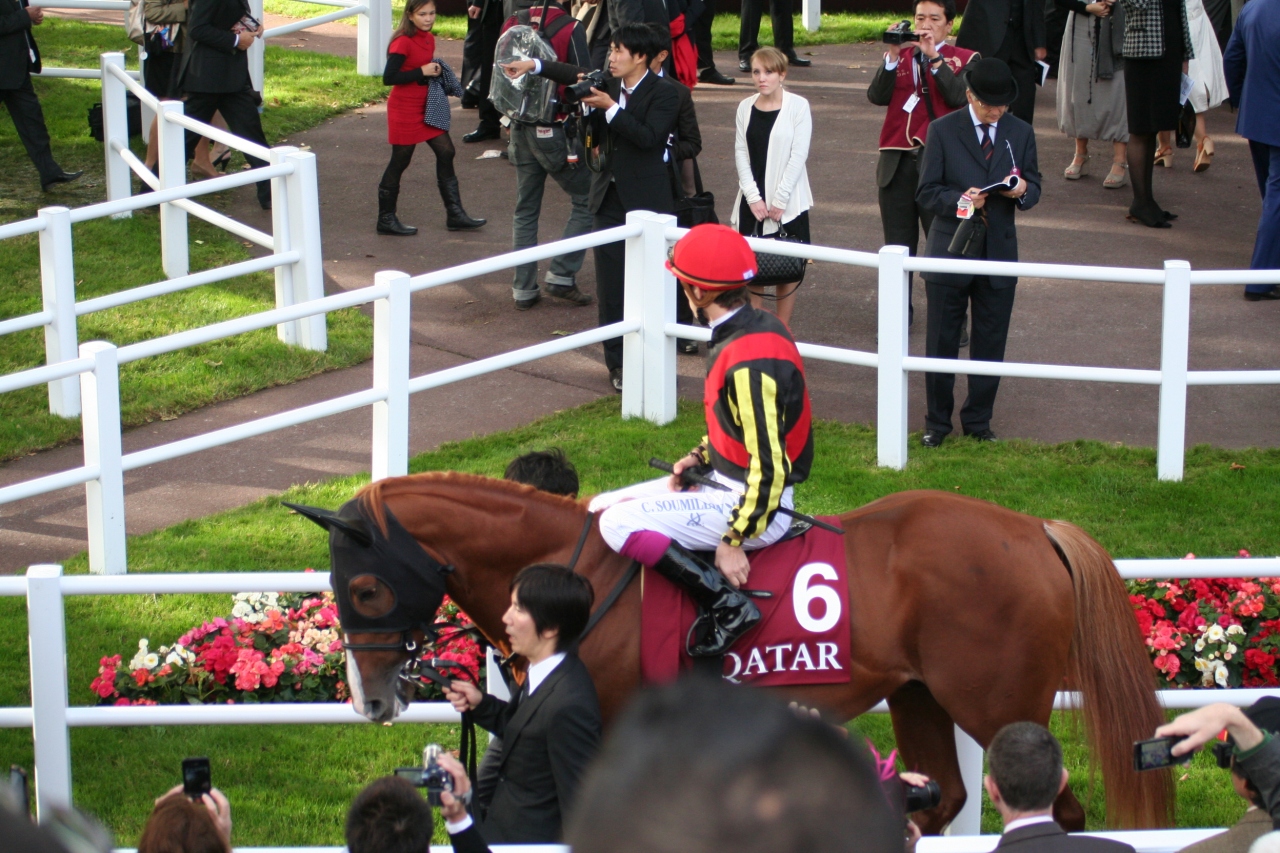 Alc25 がんばれ オルフェーヴル 凱旋門賞 パリ フランス の旅行記 ブログ By ふらどくさん フォートラベル