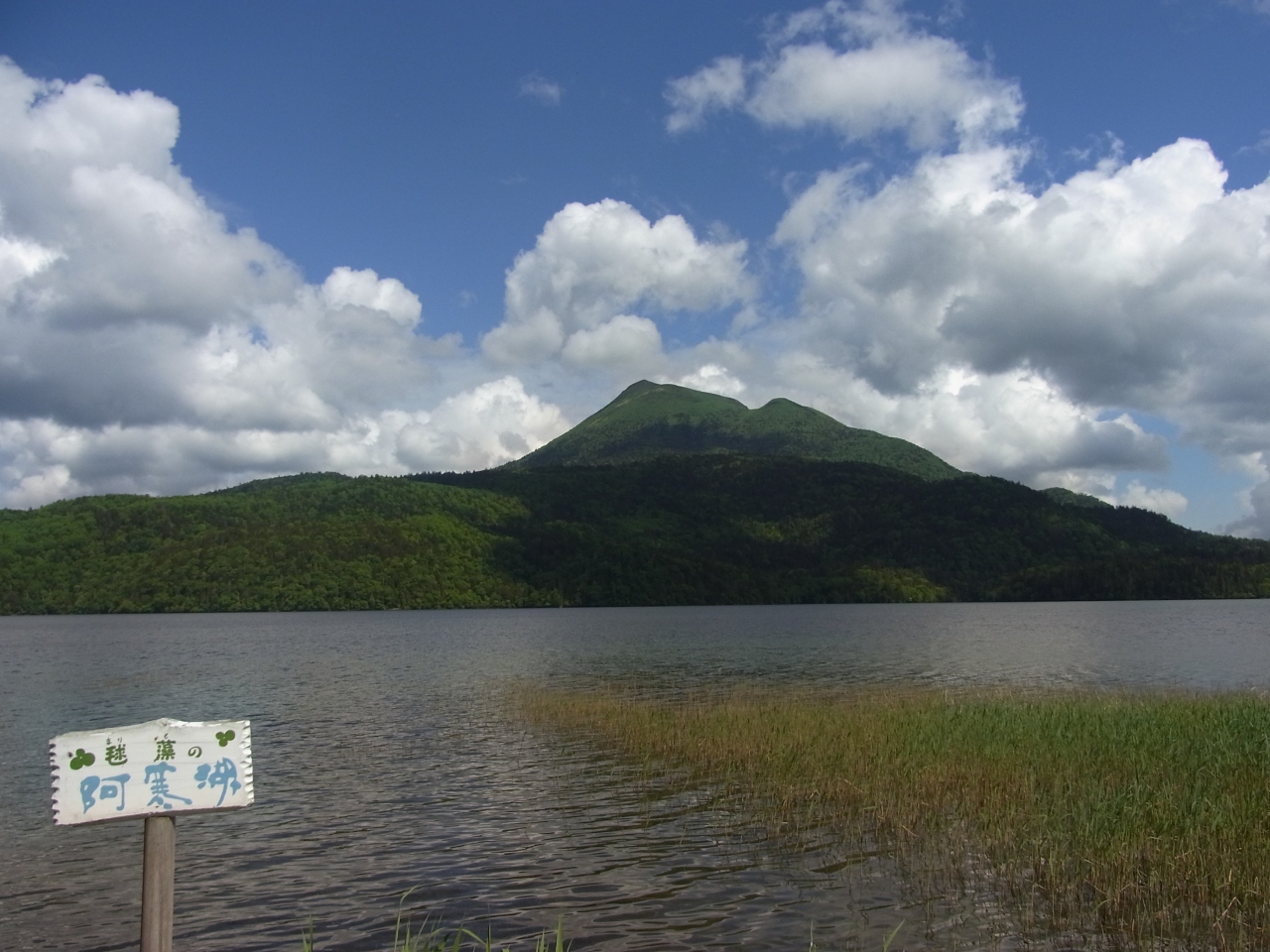 阿寒湖温泉 チュウルイ島のマリモ 湖の森を散策 阿寒 北海道 の旅行記 ブログ By つきこさん フォートラベル