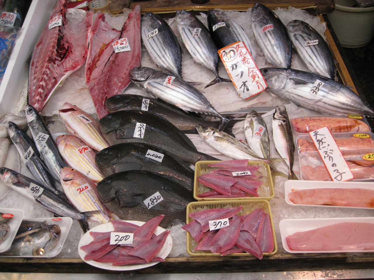 高知県の魚って旨そう 土佐市 須崎市 高知県 の旅行記 ブログ By Mauricioさん フォートラベル 高知県の魚って旨そう 土佐市 須崎市 高知県 の旅行記 ブログ By Mauricioさん フォートラベル