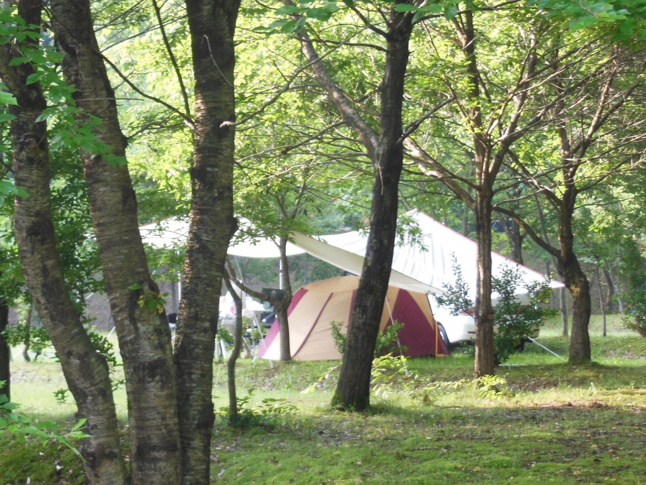 西俣キャンプ場 蛍狩り 小松 石川県 の旅行記 ブログ By Beijing Fanさん フォートラベル 西俣キャンプ場 蛍狩り 小松 石川県 の旅行記 ブログ By Beijing Fanさん フォートラベル