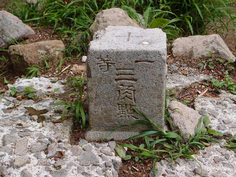 天城山の主峰 万三郎岳へ 伊豆高原 静岡県 の旅行記 ブログ By 敏じぃさん フォートラベル