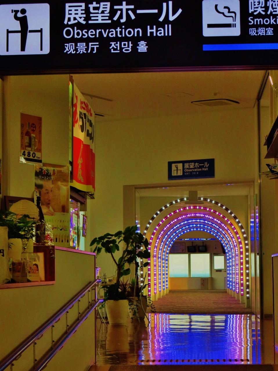 徳島空港 展望ホールで夕日を見て ｊａｌ羽田行きは１９ ４０発 徳島市 徳島県 の旅行記 ブログ By マキタン２さん フォートラベル