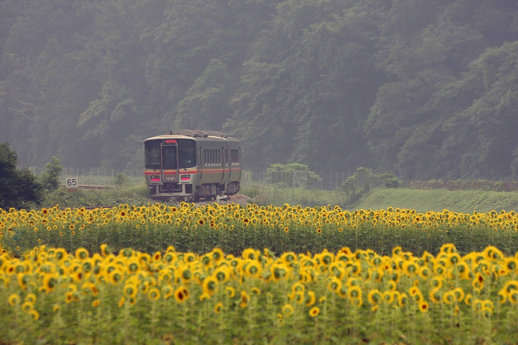 佐用町 ひまわり畑 漆野 林崎 宝蔵寺 一部鉄道マニア参考用 上郡 佐用 兵庫県 の旅行記 ブログ By Bakanekoさん フォートラベル