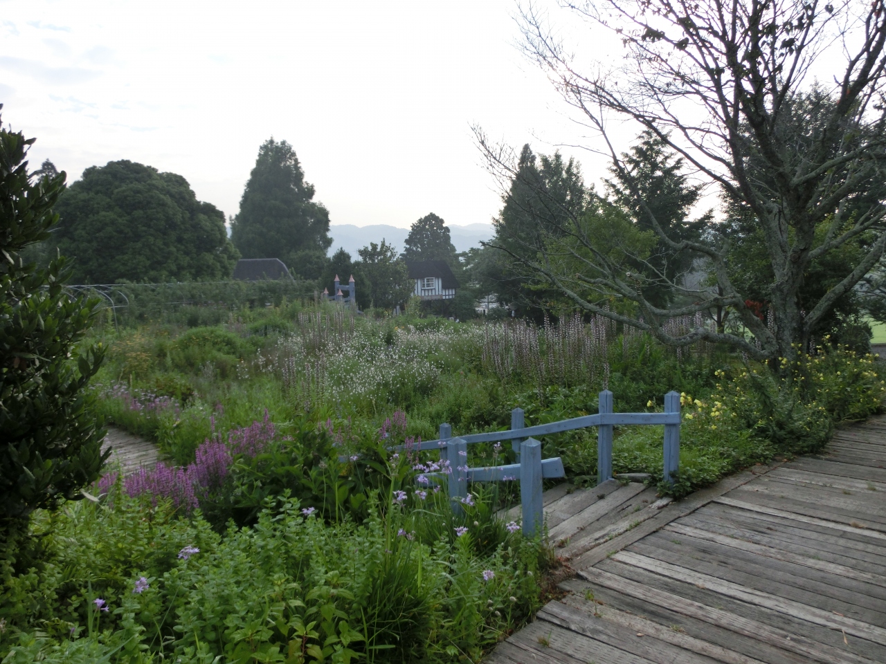 大多喜の町並みとハーブガーデン いすみ 大多喜 千葉県 の旅行記 ブログ By Mickさん フォートラベル