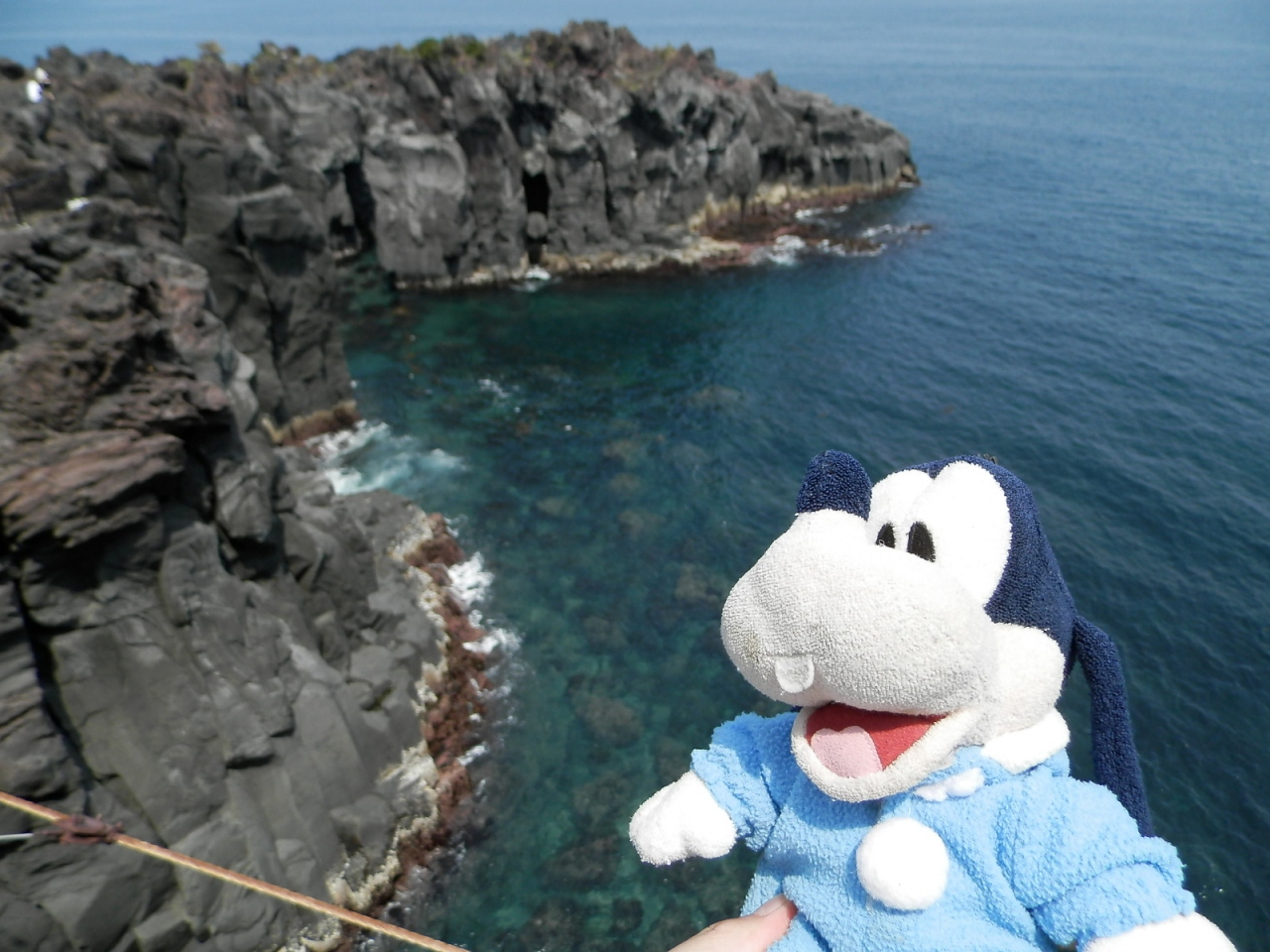 グーちゃん 春の本合宿で熱川温泉へ行く 城ヶ崎海岸でランチ 編 富戸 一碧湖 城ヶ崎 静岡県 の旅行記 ブログ By グーちゃんさん フォートラベル