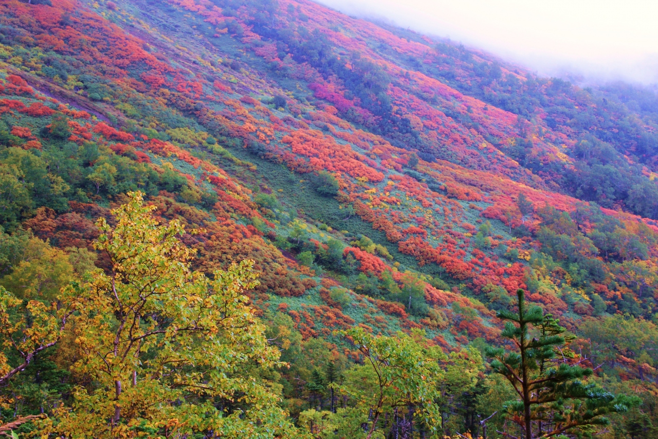 日本一早い大雪山の紅葉 十勝 帯広の旅 1日目 銀泉台 層雲峡 北海道 の旅行記 ブログ By クッシーさん フォートラベル