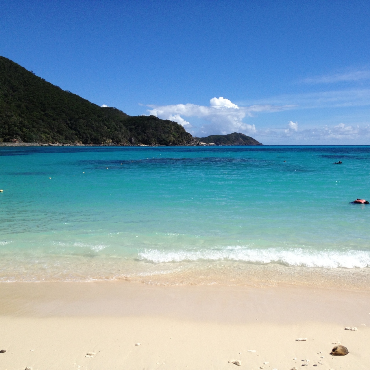 弾丸 渡嘉敷島旅行 慶良間諸島 沖縄県 の旅行記 ブログ By Piyokoさん フォートラベル 弾丸 渡嘉敷島旅行 慶良間諸島 沖縄県 の旅行記 ブログ By Piyokoさん フォートラベル