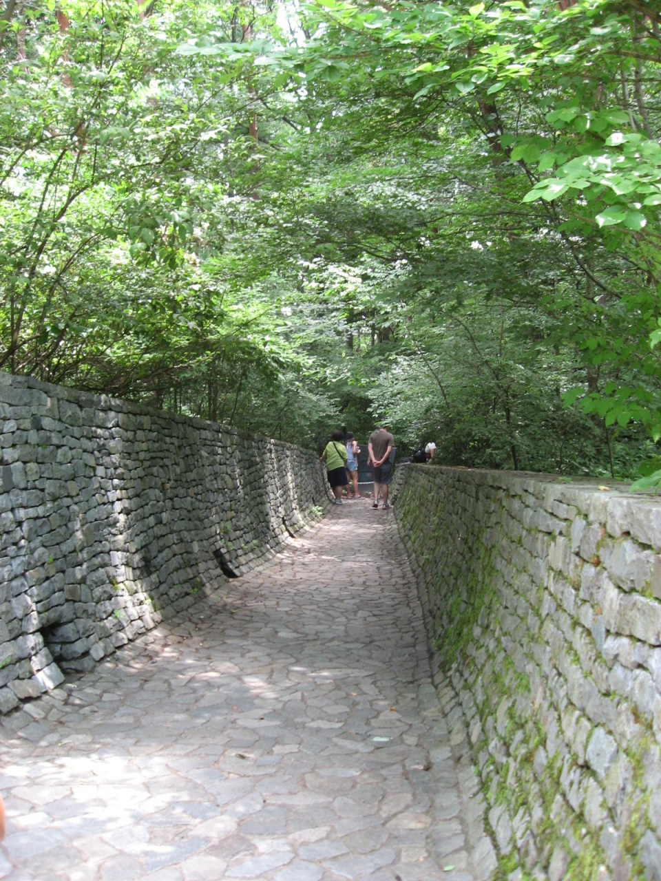 13夏の軽井沢 軽井沢 長野県 の旅行記 ブログ By 呑気法師さん フォートラベル 13夏の軽井沢 軽井沢 長野県 の旅行記 ブログ By 呑気法師さん フォートラベル