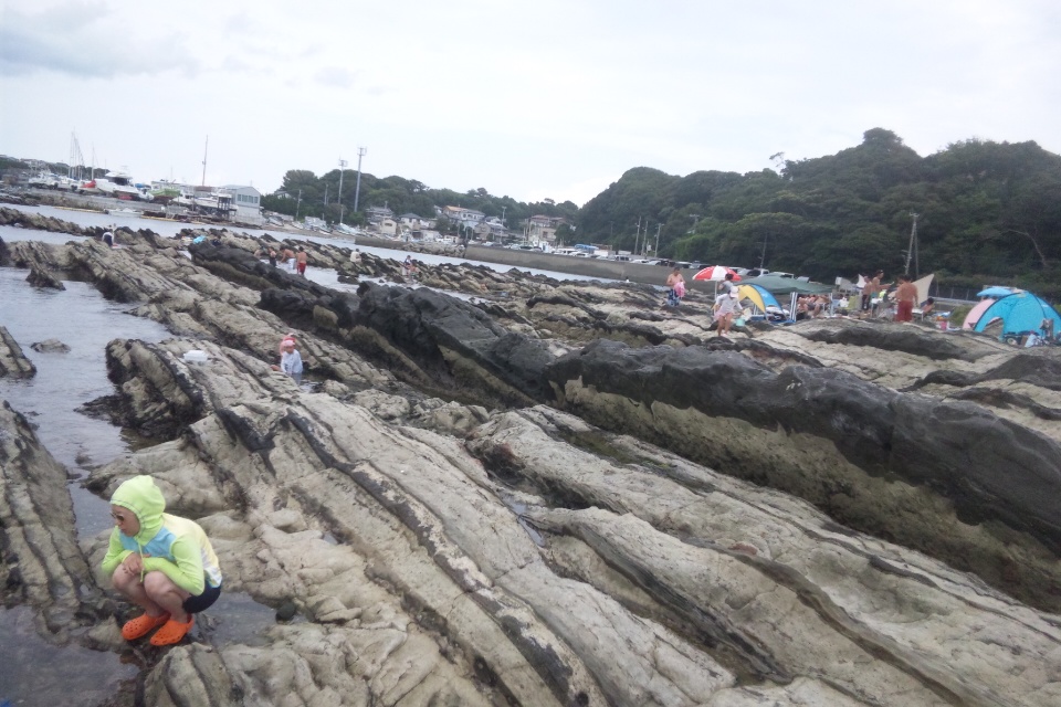 荒崎っ つうくらいですから 荒々しいですよ 三浦海岸 三崎 神奈川県 の旅行記 ブログ By ころたさん フォートラベル