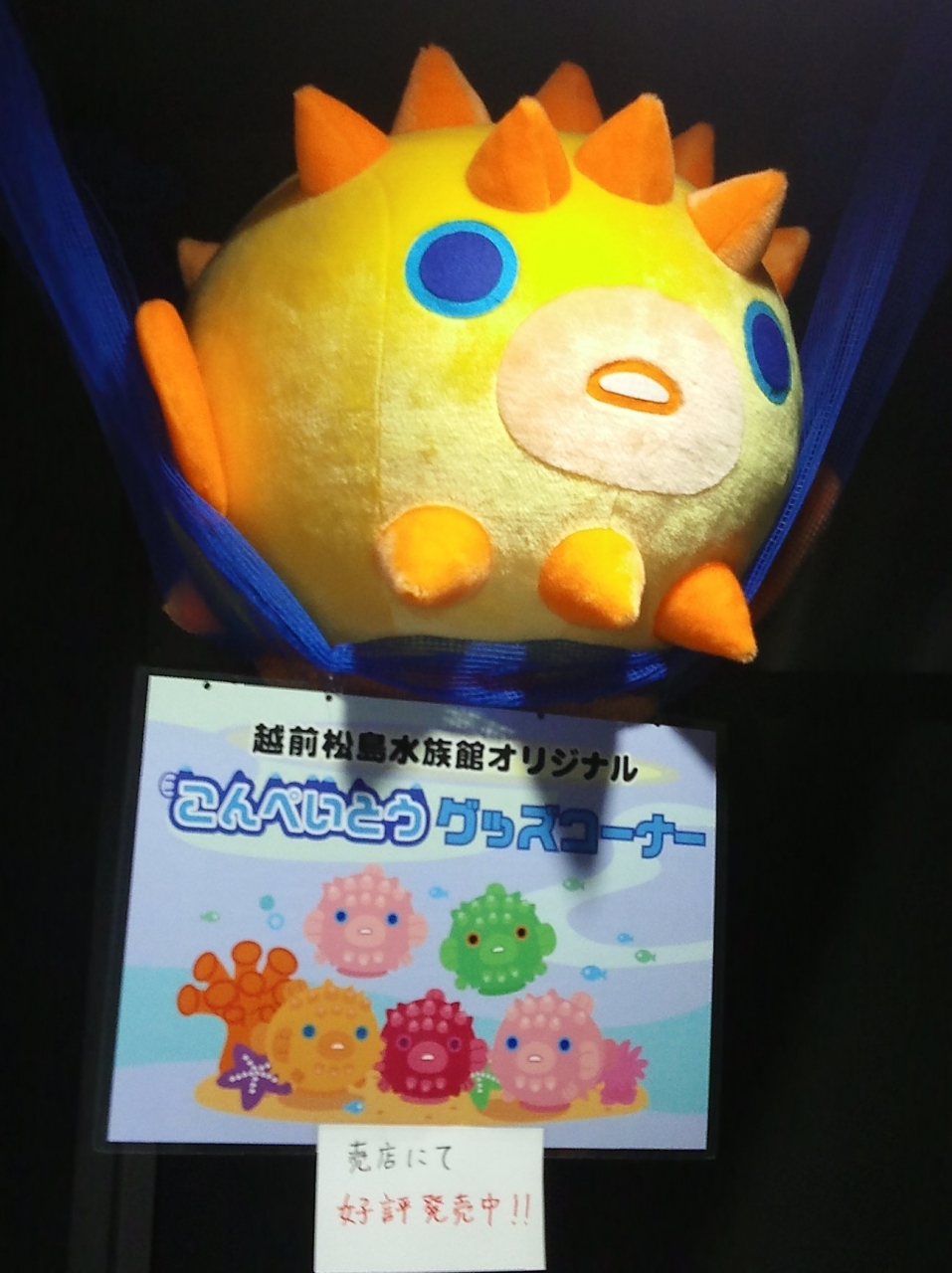 大幅リニューアル さらにパワーアップ １年ぶりに堪能しました 越前松島水族館 今年もえかったな こんぺいとうのぬいぐるみ が欲しい 東尋坊 越前松島 三国 福井県 の旅行記 ブログ By ねこにゃんさん フォートラベル