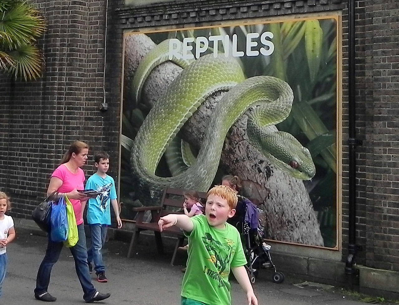 イギリスの旅 大英博物館 ロンドン動物園 ロンドン イギリス の旅行記 ブログ By つばささん フォートラベル イギリスの旅 大英博物館 ロンドン動物園 ロンドン イギリス の旅行記 ブログ By つばささん フォートラベル