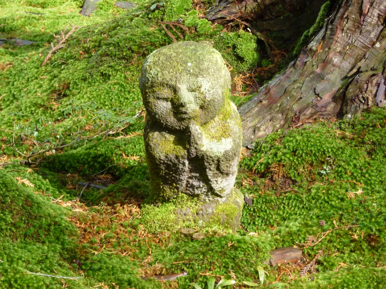 京都市 世界遺産を巡る冬の旅 日本が誇る古都を深閑と旅してきました 嵐山 嵯峨野 太秦 桂 京都 の旅行記 ブログ By Hannibalさん フォートラベル